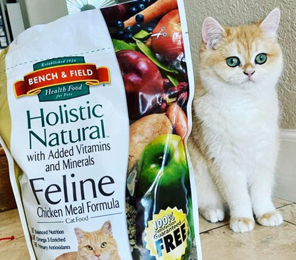 Bench & Field Holistic Natural Premium Adult Dry Cat Food, Chicken Meal and Brown Rice Recipe 25 lb Bag (Pack of 1)