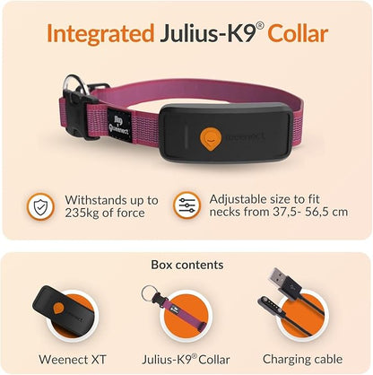 Weenect Dog XT - New GPS Collar