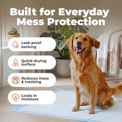 Best Pet Supplies XL (36 x 28 Inches) Puppy Pads 40 Count - Super Absorbent Dog Training Pads, Quick-Dry, Odor Control, Disposable Pee Pads, Leak-Proof Wee Wee Pads for Indoor Dogs – Baby Blue