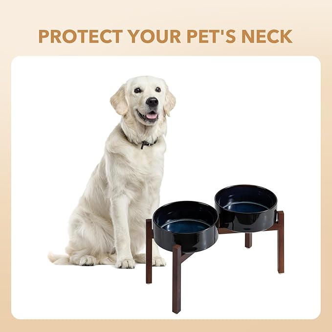 Ceramic 8.2inch Raised Double Dog Bowls Set