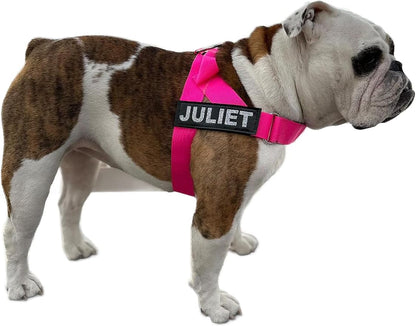 Adjustable Dog Harness– No Pull, No Choke – for English Bulldogs, French Bulldogs, Pugs & Broad-Chested Breeds – Easy, Safe Walks (NEON Pink, Medium)