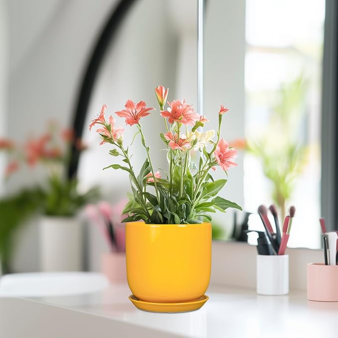 Plant Pot 5 Inch - Modern Round Indoor Ceramic Planter with Drainage Hole and Tray for Succulent Cactus Herbs Plants, Home House Garden Office Decor, Yellow