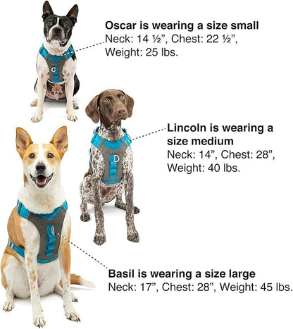 Kurgo Journey Air Dog Harness, Coral, Extra Large | Padded Chest, Ripstop Outer & Breathable Mesh, Back Assist Handle, Rust-Free Aluminum Hardware, Reflective Trim