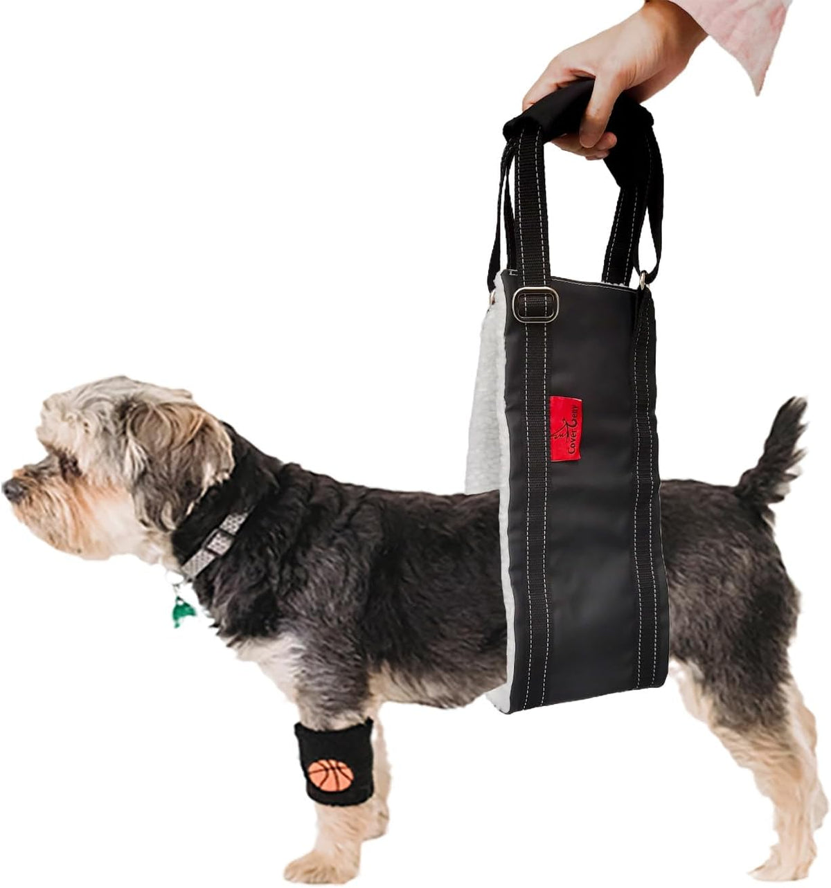 Dog Lift Harness - Adjustable Sling for Rear Legs with Soft Support for Senior, Injured, Disabled Dogs After ACL Surgery - Helping Pets with Canine Aid and Rehab Support (M)