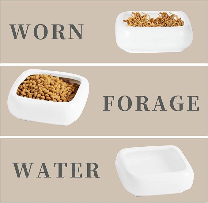 Reptile Food Bowls Ceramic Square Reptile Water Food Dish, Pet Food Bowl for Lizards, Young Bearded Dragons, Small Snakes, Gecko Tortoise Spider (White, Large-2Pack)
