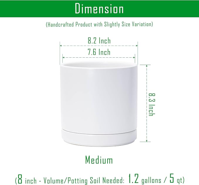 D'vine Dev Set of 2 Plants Pots, 8.2 Inch Ceramic Planter Pot for Plants with Drainage Hole and Saucer, White, 94-V-D-1
