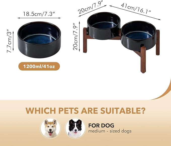 Ceramic 7.3inch Raised Double Dog Bowls Set