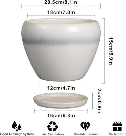 Ceramicfor Ceramic Planter - 8 Inch Plant Pot with Drainage Hole and Saucer, Glaze Round Flower Pot for Home Garden Patio Office, White