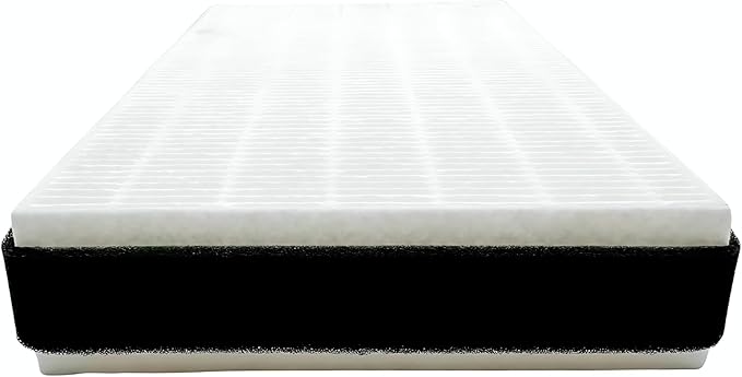 Nispira F1 C01 T02 HEPA Replacement Filter