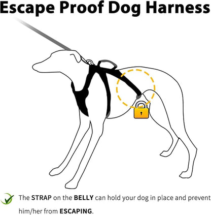 No Escape Dog Harness, Escape Proof Harness, Fully Reflective Harness with Padded Handle, Breathable, Durable, Adjustable Vest for Medium Dogs Walking, Training, and Running Gear (Teal,M)