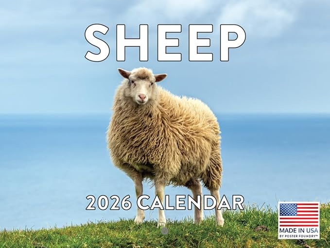 Sheep Calendar 2026 Monthly Wall Calender 12 Month | American Made In The USA