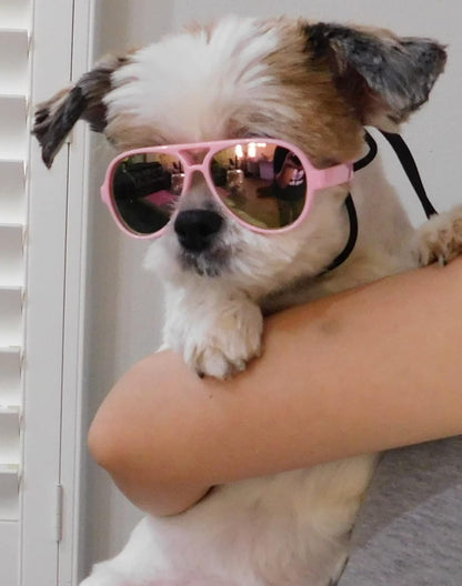 G029 Dog Cat Pet Aviator Pilot Sunglasses Glasses for Small Breeds up to 15lbs (2-Pack Black + Pink-Pink Mirror)
