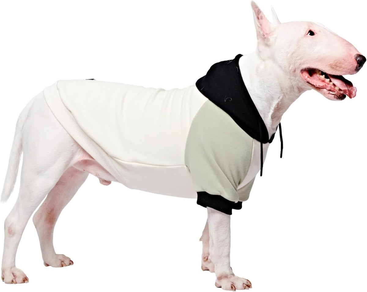 Spark Paws Dog Hoodie – Premium Dog Sweater for Small, Medium, and Large Dogs | Warm Outfits for French Bulldogs, Pitbull, Puppy, Winter Jacket Alternative - Olive Cream - 2XL