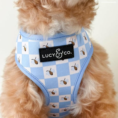 Lucy & Co. Reversible Dog Harness - Water-Repellent Neoprene, Dual-Print Design, Easy Swap Style, Adjustable Comfort Fit - Bumbling Around Reversible Harness - X-Small