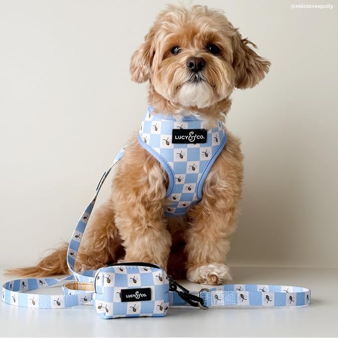 Lucy & Co. Reversible Dog Harness - Water-Repellent Neoprene, Dual-Print Design, Easy Swap Style, Adjustable Comfort Fit - Bumbling Around Reversible Harness - Small
