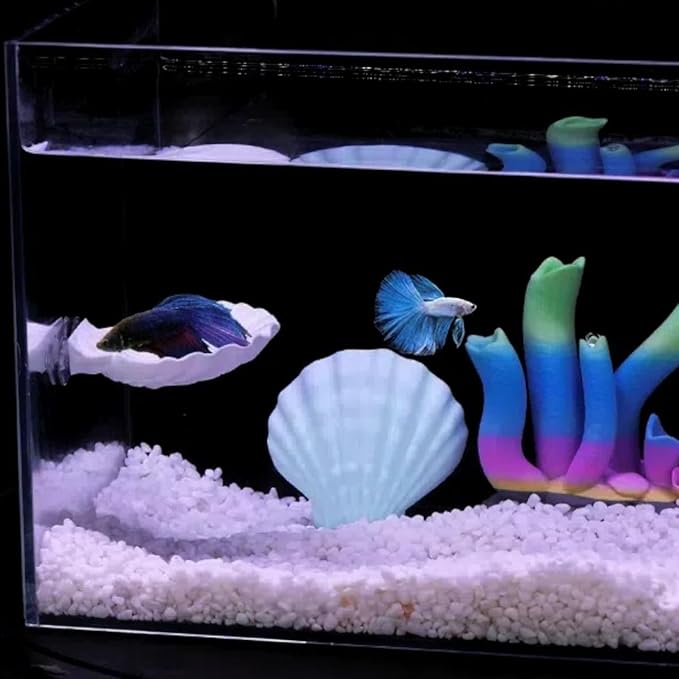 Betta Fish Hammock, Shell Pad with Strong Suction Cup Natural Resting Bed for Bettas Soft Fin-Safe Betta Fish Tank Decor and Accessories (Green Medium)