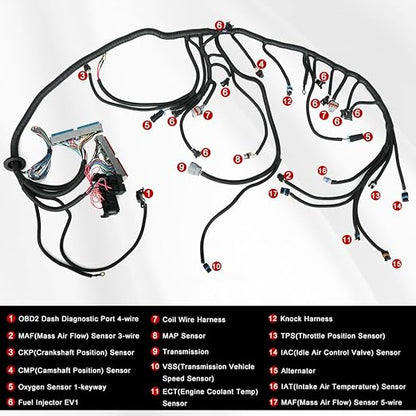 4L60E DBC LS Standalone Wiring Harness Compatible with GM LS1 1999-2006 Vortec Engines 4.8L 5.3L 6.0L Drive by Cable, with 8 Pack Fuel Injector Connector Adapter EV1 Transfer to EV6