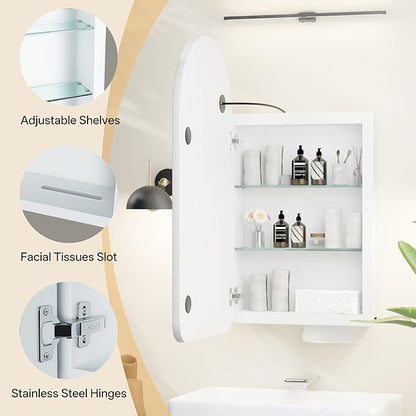 LED Arched Bathroom Medicine Cabinet
