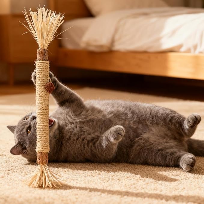 4 Pcs Puriq Natural Silvervine Dental Sticks,Silvervine Sticks for Cats, Interactive Cat Chew Stick for Teeth Cleaning, Scratch & Bite Resistant, for Indoor Kitty Fresh Breath