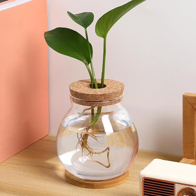 POPETPOP Desktop Glass Fish Bowl - Round Small Fish Tank with Wood Stopper & Bamboo Mat, Clear Glass Betta Fish Bowl for Succulent Plants, Hydroponic Air Plant (5.1X5.5 in)