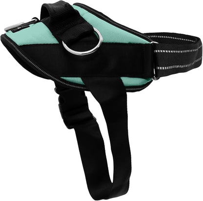 ShawnCo Essential Dog Harness, No-Pull Pet Vest (Seafoam,M) | 3 Leash Clips, Easy On, No-Choke, Reflective, Adjustable Fit, Padded Comfort, Control Handle, For Small, Medium & Large Dogs