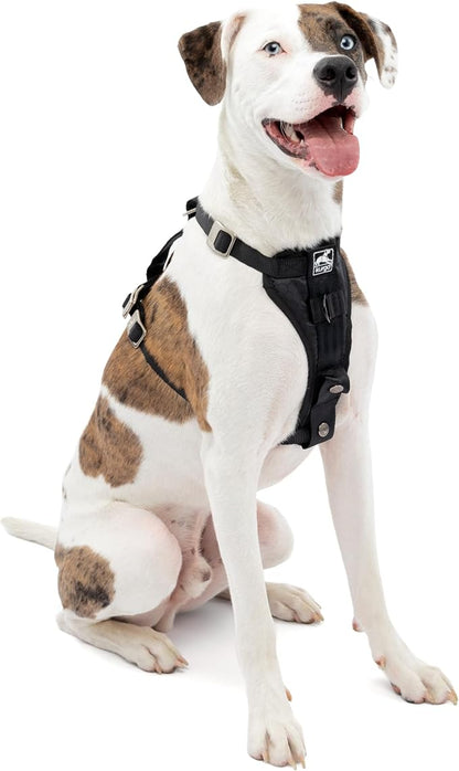 Kurgo Enhanced Strength Tru-Fit Smart Harness, Black, Medium | Crash Tested Car Harness for Dogs up to 75Lbs, Seatbelt Tether & Steel Carabiner, All-Steel Buckles, Padded Chest for Comfort