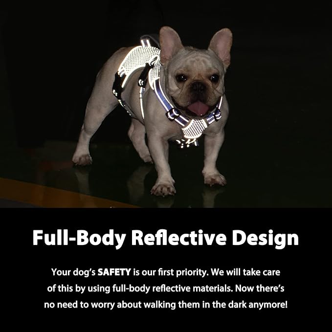 Escape Proof Dog Harness, Dachshund Harness, Reflective Dog Harness with Handle, Durable,Adjustable Vest for Small Medium Large Dogs Walking, Training, and Running Gear (Technicolor Blue,M)