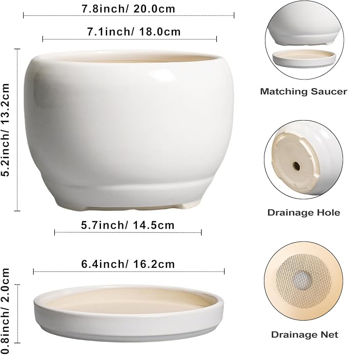 SQOWL Ceramic Planters for Indoor Plants - 8 Inch Plants Pot, Round Outdoor Flower Pot with Drainage Hole and Saucer, Decorative Modern Planter, Kitchen Decor, House Gifts, White