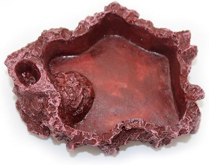 OMEM Reptile Natural Bowl Food and Water Dish Resin Made (Red S)