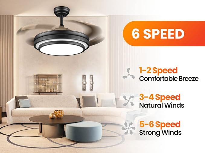 42 Inch Black Modern Ceiling Fan
