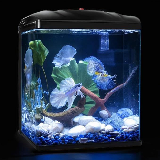 Small Fish Tank, 2 Gallon Glass Aquarium, Betta Fish Shrimp Goldfish Tropical Fish Starter Kit Self Cleaning with Filter & LED Plant Light, Ultra-Quiet Kids Room Decoration Fish Tank