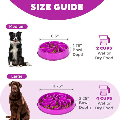 Hound Feeder Slo Bowl  Large 4 Cup Capacity, Slow Feeding, Medium To Large Dogs, Non Slip, Purple, Flower Pattern