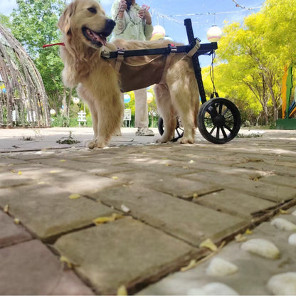 Rehabilitation Training Dog Wheelchair Mobility Aid