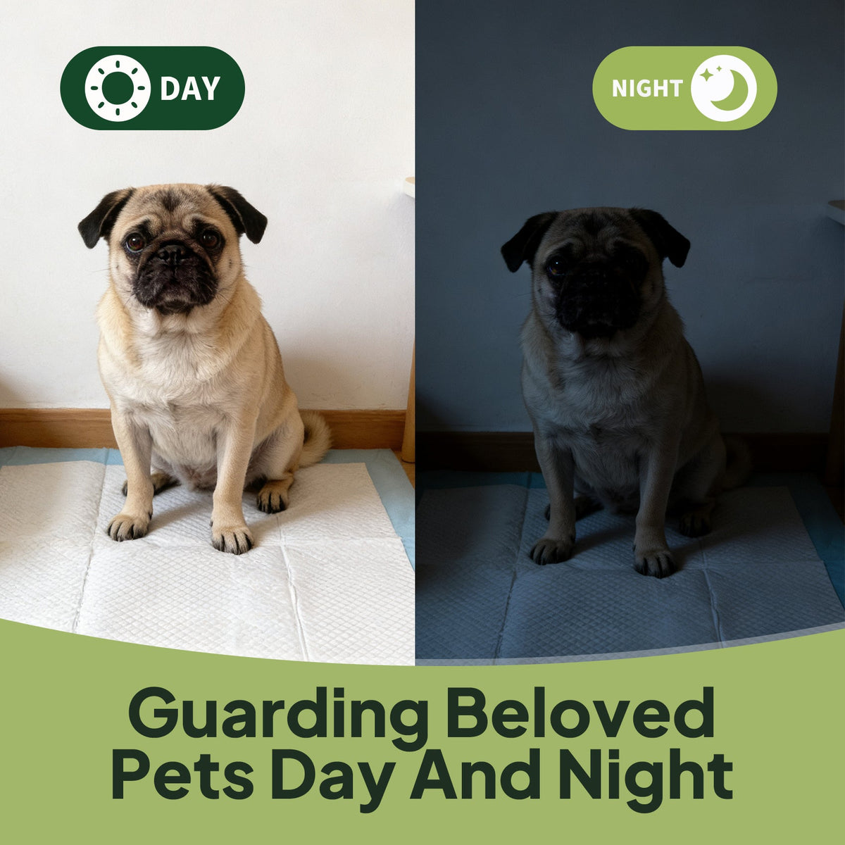 Disposable Dog Training Pads