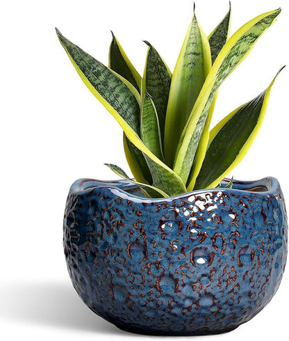 8 Inch Plant Pot - Ceramic Planter for Indoor Outdoor Plants, Round Unique Plant Pots with Drainage Hole, Modern Decorative Flower Pots, Home Decor, Gifts for Plants Lovers, Retro Blue