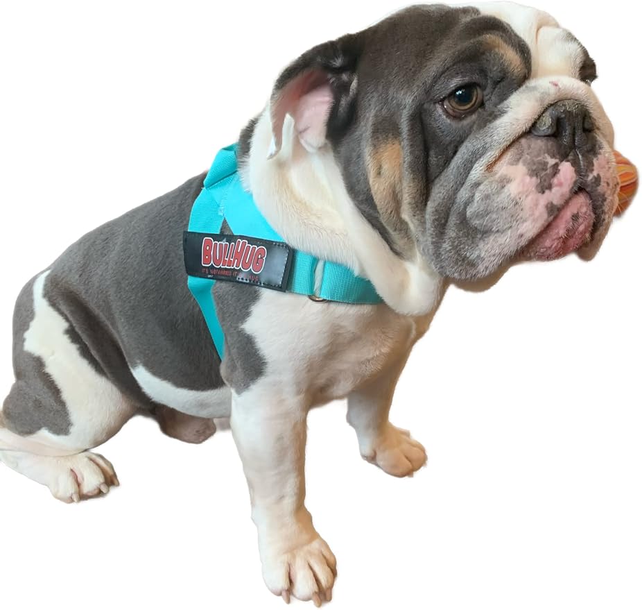 Adjustable Dog Harness– No Pull, No Choke – for English Bulldogs, French Bulldogs, Pugs & Broad-Chested Breeds – Easy, Safe Walks (Tiff Blue, Large)
