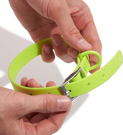 Wild One Dog Collar, Easy-Clean, All Weather Flex-Poly Strap with Metal, Durable, Dirt and Odor Resistant (Limeade, XL)
