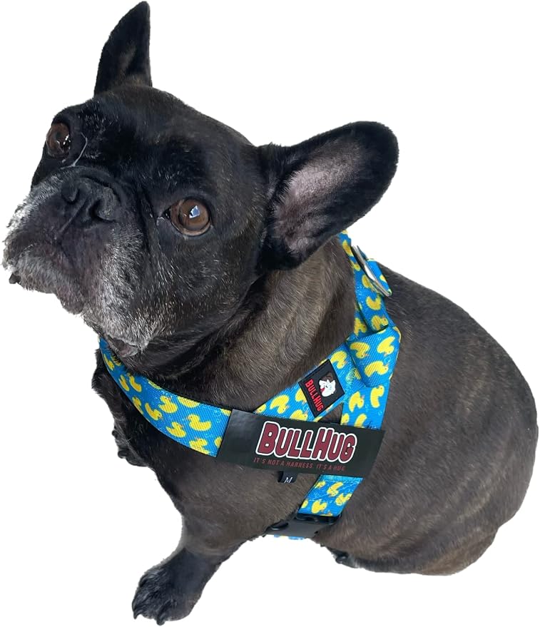 Adjustable Dog Harness– No Pull, No Choke – for English Bulldogs, French Bulldogs, Pugs & Broad-Chested Breeds – Easy, Safe Walks (Sky-Duck, Large)