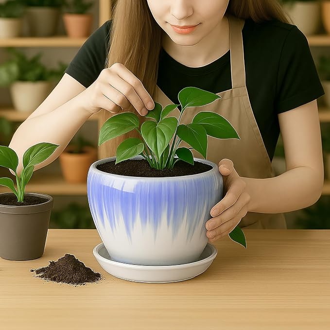 Deep Dream 8 Inch Plant Pots- Ceramic Pots for Plants with Drainage Hole and Saucer, Large Planter Pot for Indoor Plants Outdoor Decor, White&Blue