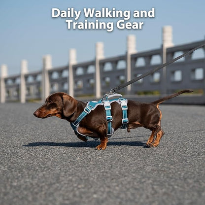 No Escape Dog Harness, Escape Proof Harness, Fully Reflective Harness with Padded Handle, Breathable, Durable, Adjustable Vest for Medium Dogs Walking, Training, and Running Gear (Teal,M)