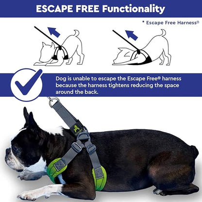 Gooby Escape Free Sport Dog Harness, Choke-Free, Blue, Medium | Patented escape-free frame; Reduces choking; 4-point adjustment; Soft neoprene padding; Durable webbed straps