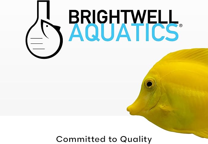 Brightwell Aquatics DiscusCōde Trace and Minor Element Supplement Supports Coloration Nerve Function Overall Health in Discus and Amazonian Freshwater Fish, 250 ml