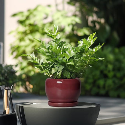 SQOWL 6 Inch Plant Pot - Ceramic Planter for Indoor Plants Outdoor, Round Planter with Drainage Hole and Saucer, Decorative Modern Small Flower Pots, Room Decor, Gifts for Plant Lovers, Red