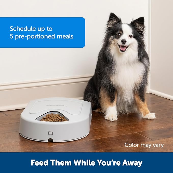 PetSafe Automatic Dog Feeder, 5 Meals, 40 oz Capacity,
