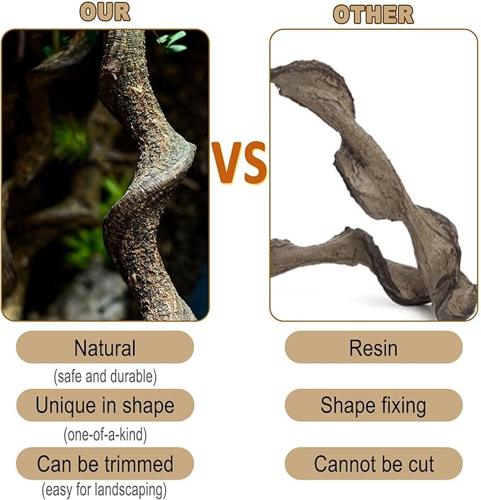 BNOSDM Reptile Forest Climbing Branch Decor 8PCS Crested Gecko Climb Wood Natural Branches Tree for Snake Frog Chameleon Spider Bearded Dragon Terrarium Habitat Tank Accessories