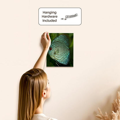 3dRose Blue Exotic Discus Fish Museum Grade Canvas Wrap 8x10