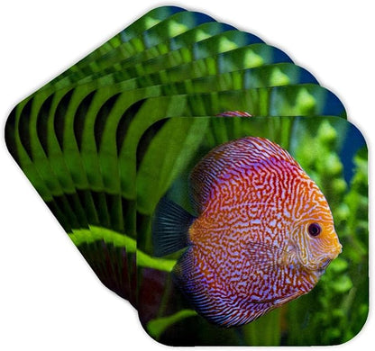 3dRose Super Pigeon Snakeskin Discus, Tropical Freshwater Fish. Set of 8 Coasters - Soft
