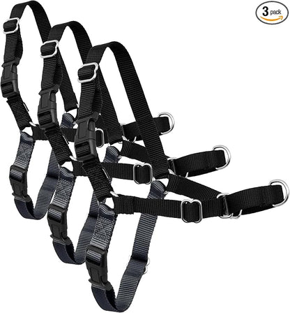 PetSafe Easy Walk No-Pull Dog Harness - Ultimate Harness to Help Stop Pulling-Pull-Free Walks-Take Control & Teach Better Leash Manners-Patented Martingale Loop Design-Gray,Medium/Large (Pack of 3)