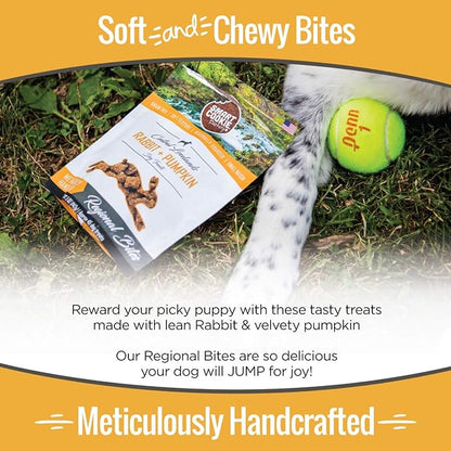 Smart Cookie All Natural Dog Treats - Rabbit & Pumpkin - Training Treats for Dogs & Puppies with Allergies, Sensitive Stomachs - Soft Dog Treats, Grain Free, Chewy, Human-Grade, Made in USA - 5oz Bag