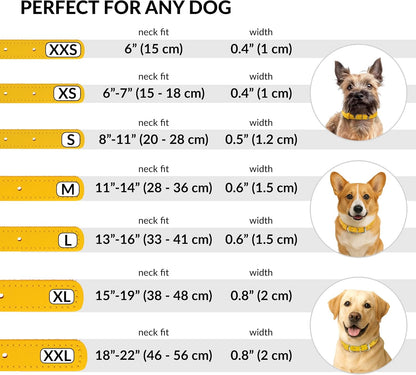 CollarDirect Rolled Leather Dog Collar, Soft Padded Round Puppy Collar, Handmade Genuine Leather Collar Dog Small Large Cat Collars 13 Colors (18-22 Inch, Yellow Smooth)